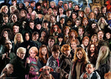 1 Puzzle 1000 pièces - Harry Potter Challenge + 1 Collectors' memory Harry Potter + 1 Loup Garou Pour Une Nuit Harry Potter - Livraison offerte