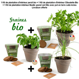 1 Kit de plantation d’intérieur persil bio + 1 Kit de plantation d'intérieur Ciboulette Bio + 1 Kit de plantation intérieur Basilic grand vert Bio avec pot en terre cuite inclus - Livraison offerte