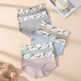Lots de 6 culottes taille haute en coton - Livraison offerte