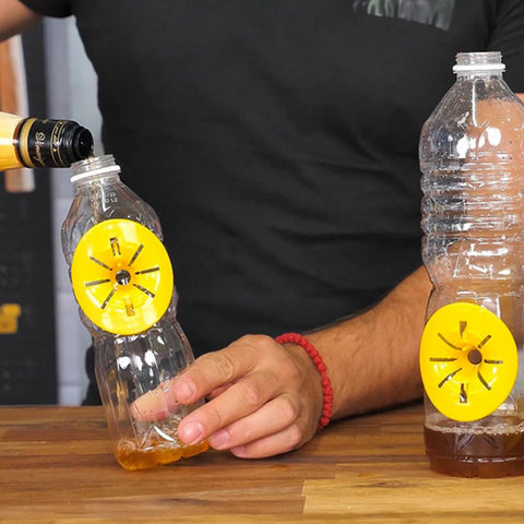 6 Pièges à Guêpes Écologiques - Livraison offerte