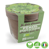 Kit de plantation d’intérieur persil bio avec pot en terre cuite inclus - Livraison offerte