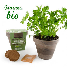 Kit de plantation d’intérieur persil bio avec pot en terre cuite inclus - Livraison offerte
