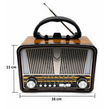 Radio FM/AM + enceinte Bluetooth style rétro avec éclairage LED et lumière torche intégrée - Livraison offerte