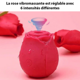 ROSE TOY : Stimulateur Vibromasseur - Livraison offerte