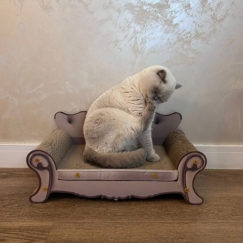 Sofa griffoir pour chat - livraison offerte