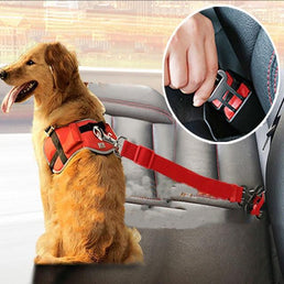 Ceinture de sécurité pour animaux de compagnie - Livraison offerte