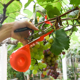 Machine à attacher les branches des plantes - Livraison offerte
