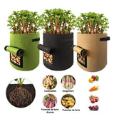 Pot de culture pour plantes, fruits, jardin, maison et pomme de terre - Livraison offerte