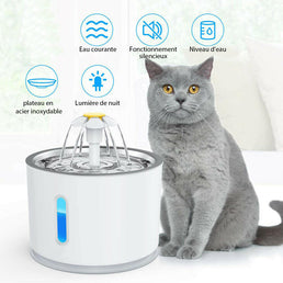 Fontaine à eau pour chien et chat - Livraison offerte