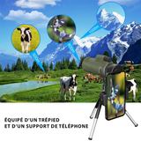 Télescope monoculaire haute puissance 80x100 avec zoom et trépied pour téléphone - Livraison offerte