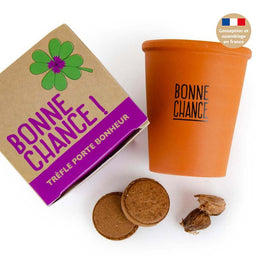 Kit de plantation intérieur trèfle à 4 feuilles porte bonheur - Livraison Offerte