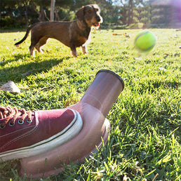 Lanceur de balles pour animaux - Livraison offerte