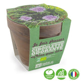 Kit de plantation d'intérieur Ciboulette Bio avec pot en terre cuite inclus - Livraison Offerte